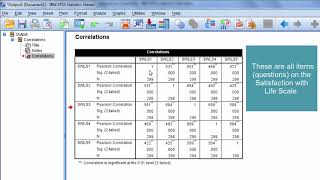 How to Interpret a Correlation Matrix [upl. by Fendig468]