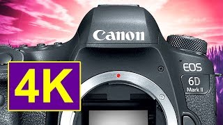 Canon 6D Mark II  Secret 4K Video Hack for the 6D2 [upl. by Lalla]