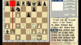 Anand vs Topalov 11 partie Anglaise Sofia 2010  Echecs analyse technique [upl. by Proudman433]