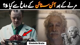 How Einsteins Brain Was Different   Who Stole Einstein Brain And Why [upl. by Frierson292]