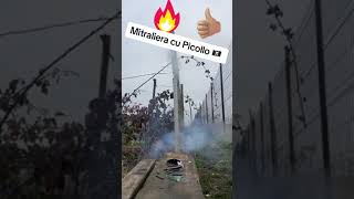 Mitraliera cu picollo mici dar iti faci treaba cu ele 😬🧨picollo firecraker petarde piromax [upl. by Maegan]