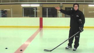 071711 Stickhandling and Shooting Sequence [upl. by Tfat]