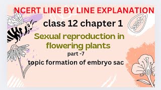 formation of embryo sacsexual reproduction in flowering plants NCERT line by line explanation [upl. by Assenov]