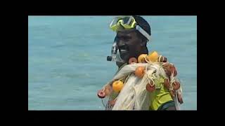 Lagoon Fishing At Kiltan Island In Lakshadweep ❤️❤️❤️ [upl. by Zacks660]