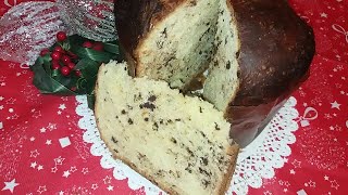 PANETTONE AL CIOCCOLATO CON IMPASTO UNICO RICETTA DI NATALE SEMPLICE E VELOCE🎄🎁🎄🎁 [upl. by Ynnhoj]