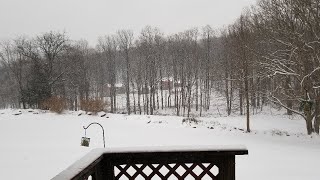 Snow Cam From My Backyard [upl. by Tallia709]