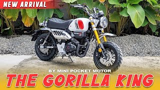 MOTOR GORILLA 150CC by MINI POCKET MOTOR [upl. by Chang]