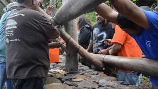 Building a Traditional Hawaiian Hale [upl. by Atnauqal]