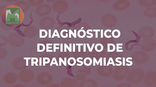 Diagnóstico de Laboratorio de Tripanosomiasis  GUÍA DE DIAGNÓSTICO DE LABORATORIO VETERINARIO [upl. by Idnim659]