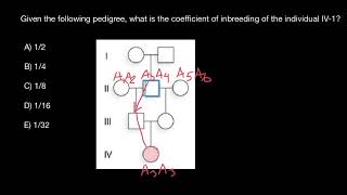 How to calculate inbreeding coefficient [upl. by Siraved]