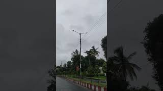 Rainy day ☔ Rangpur  natural beauty Brur rangpur video nature travel beauty [upl. by Auliffe492]