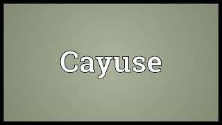 Cayuse Meaning [upl. by Kurtzman]