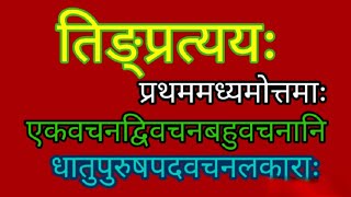 अद्य तिङन्तस्य विशदरूपेण पाठनम् । maaheshwaralearningsanskrit [upl. by Alletneuq]