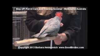 Parrot Training Clips from Parrot Care amp Training Seminar [upl. by Ydnim]