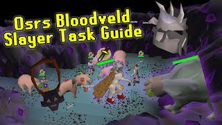 OSRS Bloodveld Slayer Guide Using the Catacombs of Kourend  Slayer Made Easy [upl. by Abramo850]