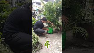 Magical homemade fertilizers  झूम उठेंगे पौधे बस ये जादूई चीजें डाल दो🥛🌿shorts viral gardening [upl. by Cynthla]