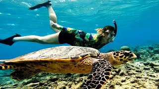 Beach cottage Rasdhoo Maldives Snorkeling guest from Spain [upl. by Otaner]