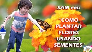 Aprenda a Plantar Girassol com Samuel 4 anos [upl. by Enailil]