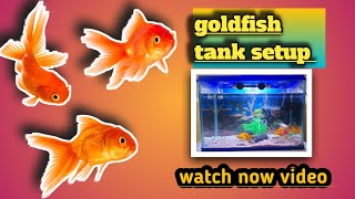 Gold Fish Tank setup step by step tutorial ☆AquariumLoversPune [upl. by Teodora]