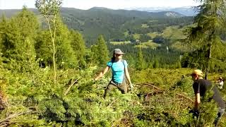 Bergwaldprojekt mit Alpenverein Alm schwenden im Kemetgebirge [upl. by Ecille]