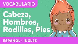 Cabeza hombros rodillas y pies  Canciones para niños pequeños  Spanish songs for littles [upl. by Ainnet179]