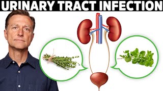 1 Best Remedy for a UTI Urinary Tract Infection [upl. by Aiuqat]