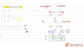 In a monohybrid cross the genotypic ratio of quotFquot2 is [upl. by Siuluj]