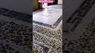 Marble Tiles vs Terrazzo flooring which is best shorts tiles [upl. by Nyraf893]