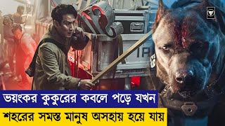 সব কয়টা কুকুরই মারাত্মক  Project Silence Movie Explained In Bangla  Korean  Roxter Video Channel [upl. by Cloris167]