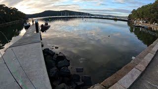 To Master The Hawkesbury River Is Something Special Winter Bream Brooklyn [upl. by Dnaltiac]