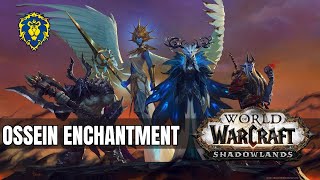 WoW Shadowlands  Alliance Quests  Ossein Enchantment [upl. by Garlen]