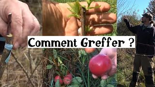 Comment greffer facilement les arbres fruitiers  mois par mois [upl. by Nashner]