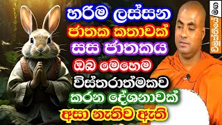 හරිම මනරම් ජාතක කතාවක්  සස ජාතකය  sasa jathakaya  Koralayagama saranathissa thero bana 2024 [upl. by Eniamrej63]