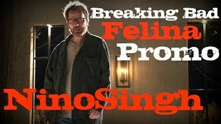 Breaking Bad Season 5 Promo Trailer  FELINA  HD [upl. by Nowed]