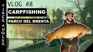 VLOG8 CARPFISHING PARCO DEL BRENTA ITA ENG subtitles [upl. by Rorke]