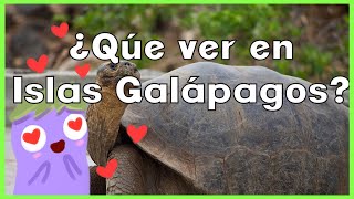 Qué hacer en Las Islas Galápagos  Viajas a Islas Galápagos en 2023 [upl. by Tserrof]