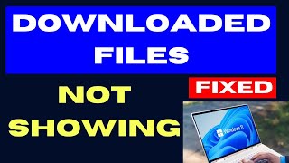 Downloaded Files Not Showing on Windows 11  10 Fixed [upl. by Najib326]