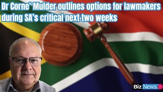 Dr Corne’ Mulder outlines options for lawmakers during SA’s critical next two weeks [upl. by Llednol]