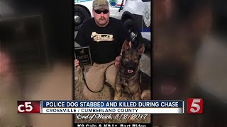 Crossville K9 Killed While Chasing Suspect [upl. by Adnohsar369]