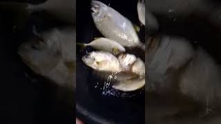 cooking easyfoodtomakeathome cookingfood highlights fishingkuha sa bingwet guys [upl. by Mikah]