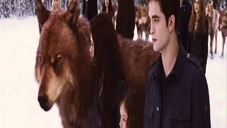 Renesmee And Jacob Forever ◘ Part 1 [upl. by Ecidnac718]