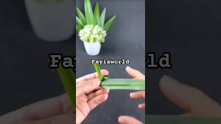 How to make variety flower using rambha leaf [upl. by Suoivatnom]