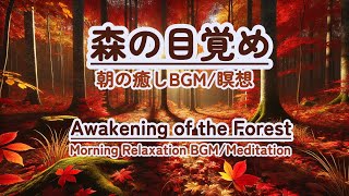 【朝の癒しBGM瞑想】healing 癒し 瞑想 meditation 心が落ち着く音楽 relaxingmusic music healingbgm [upl. by Leunad]