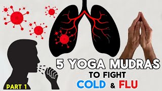 5 Yoga Mudras to Fight Cold amp Flu  Part 1 [upl. by Dowski]