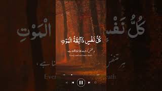 Tilawat Quran Best tilawat with beautiful voice [upl. by Leciram974]