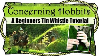 Lord Of The Rings  Concerning Hobbits  BEGINNERS TIN WHISTLE TUTORIAL [upl. by Yorke]