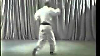 4 Wado Ryu Karate Kata Pinan Yondan  Tatsuo Suzuki [upl. by Sixla829]