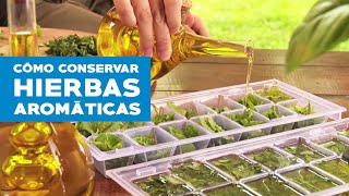 Cómo conservar hierbas aromáticas [upl. by Attenwahs]