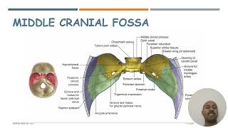 Base of the skull [upl. by Northey]