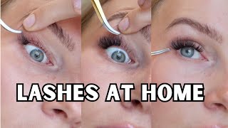 how to apply lash clusters for beginners  tips [upl. by Arnaud162]